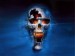 U2_Skull.jpg